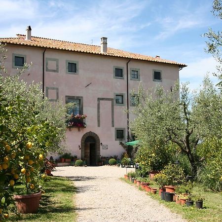 Hotel Agriturismo Le Caselle Viterbo Exterior foto